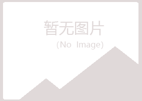 岑巩县白山化学有限公司